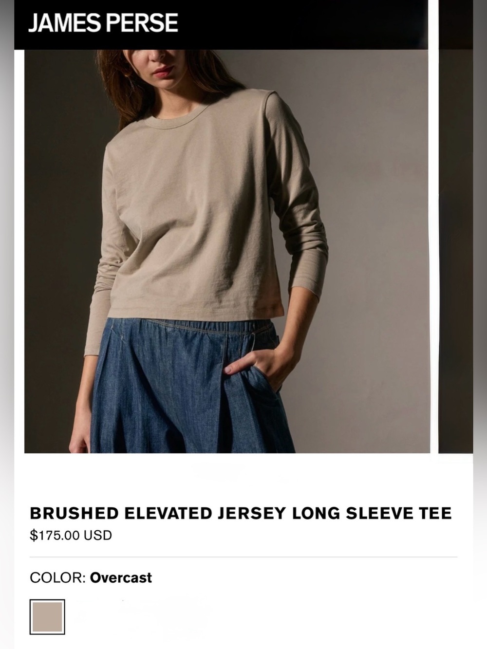 James Perse Brushed Elevated Jersey Long Sleeve Tee in Overcast size 1 (S)